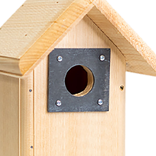 Backyard Bird House