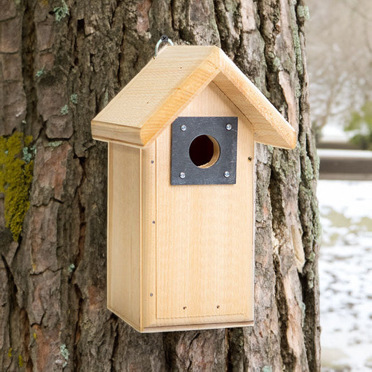 Backyard Bird House - BIRDLOVER