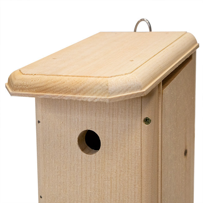 House Wren Bird House
