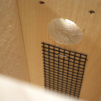 Classic Eastern Bluebird House with Large Roof