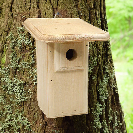 Classic Eastern Bluebird House with Large Roof - BIRDLOVER