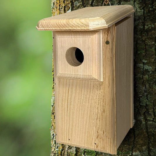 Classic Eastern Bluebird House - BIRDLOVER