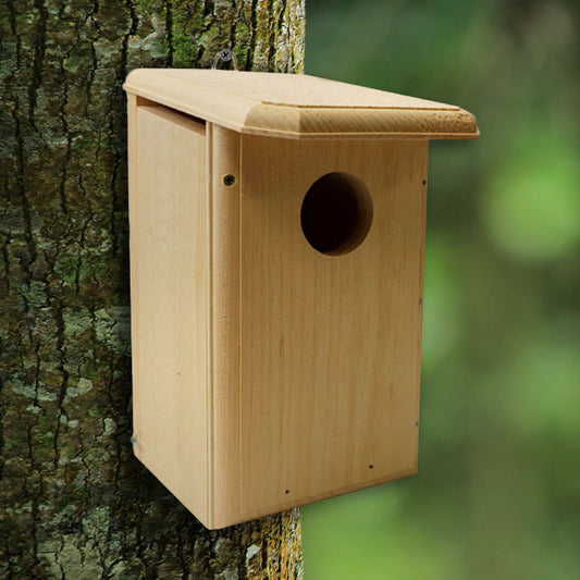 Flycatcher Bird House - BIRDLOVER