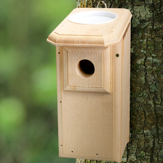 Open-Top Eastern Bluebird House - BIRDLOVER