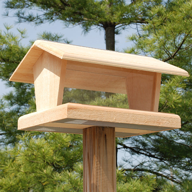 Hopper Bird Feeder