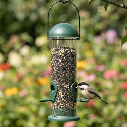 Black-Capped Chickadee feeding from a hooded side port of the clear tube bird feeder in a flower garden