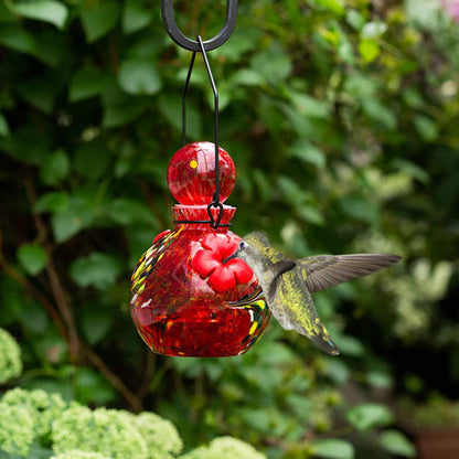 Solar LunaLite Globe Hummingbird Feeder, Red, 16oz.