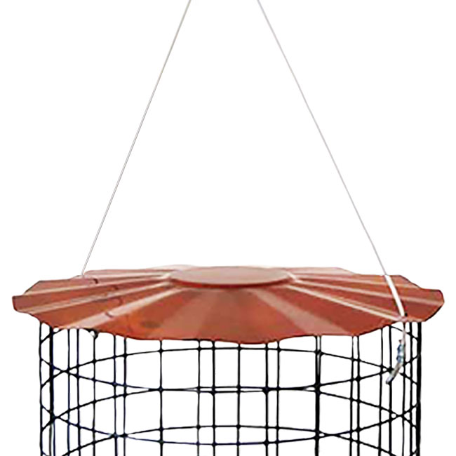 Caged Bluebird Feeder, Copper Colored