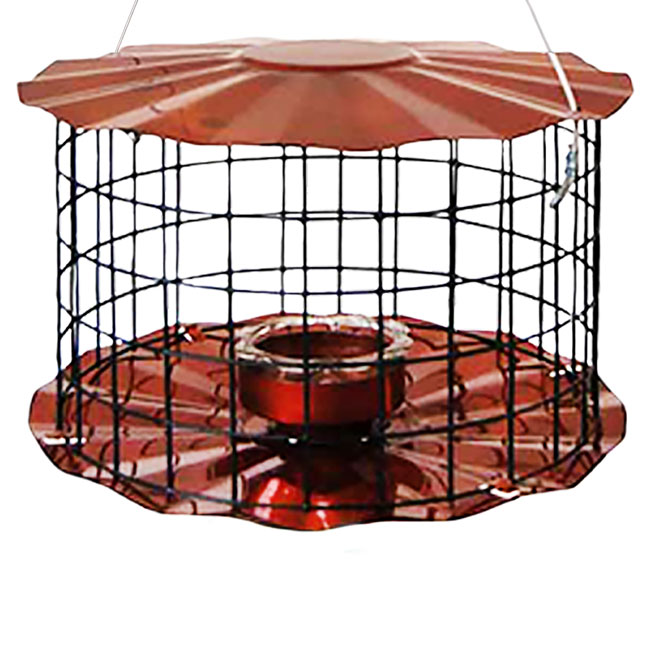 Caged Bluebird Feeder, Copper Colored