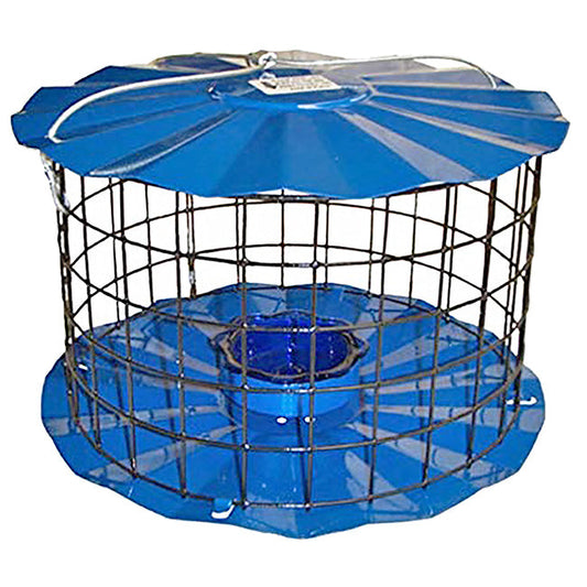 Caged Bluebird Feeder, Blue - BIRDLOVER