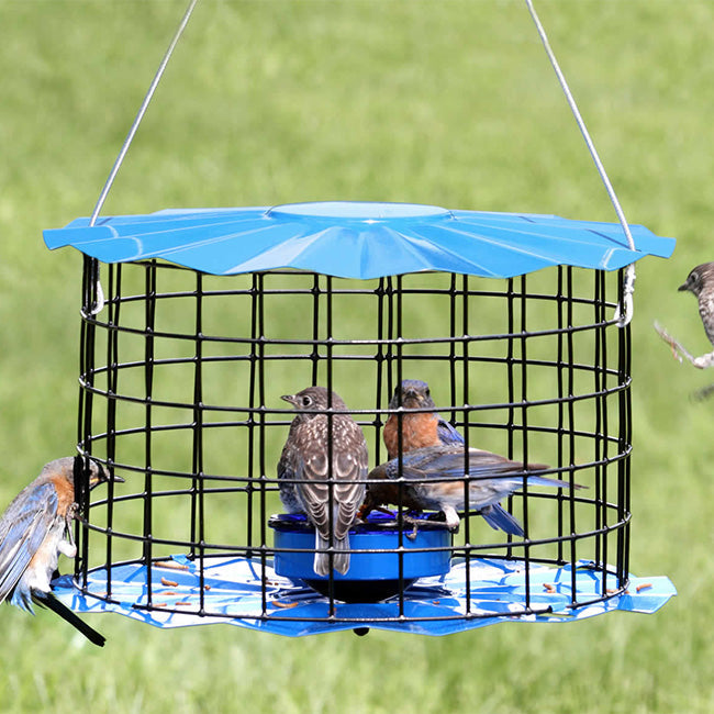 Caged Bluebird Feeder, Blue