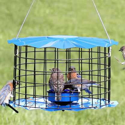 Caged Bluebird Feeder, Blue
