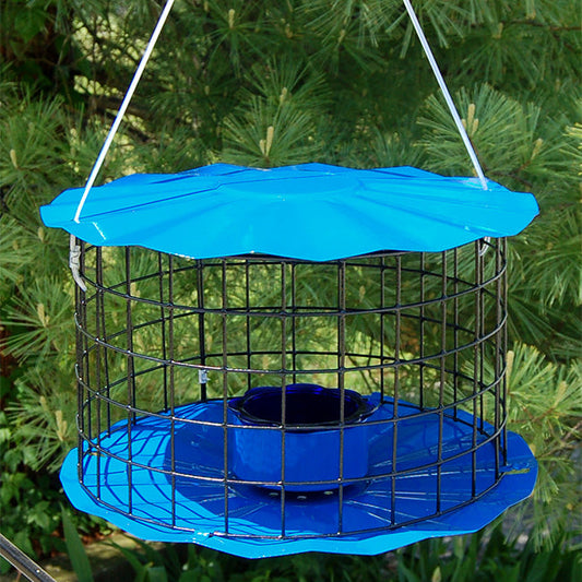 Caged Bluebird Feeder, Blue - BIRDLOVER