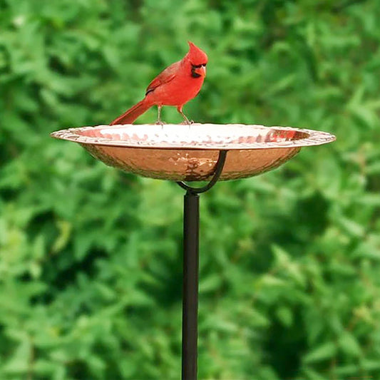 Copper Bird Bath with Garden Pole - BIRDLOVER