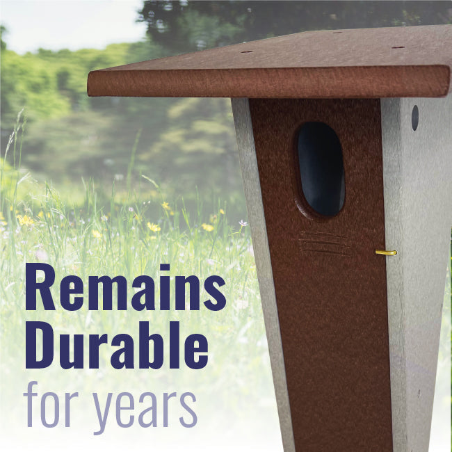 Recycled Plastic Slant-Front Bluebird House, Brown
