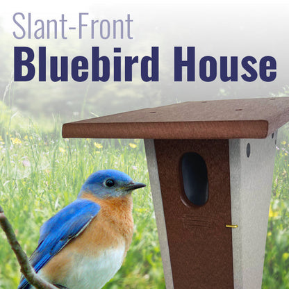 Recycled Plastic Slant-Front Bluebird House, Brown