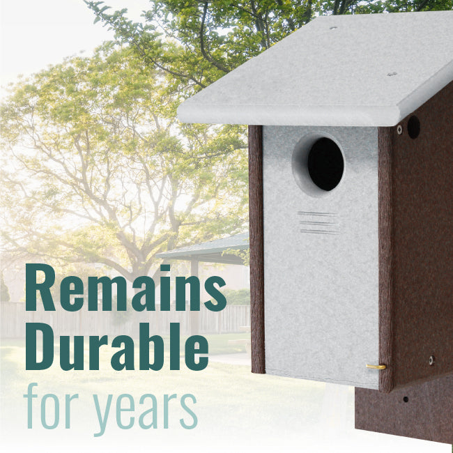 Recycled Plastic Bluebird House, Gray and Brown