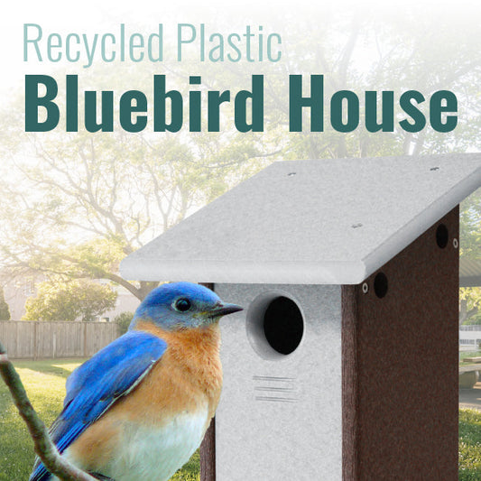 Recycled Plastic Bluebird House, Gray and Brown - BIRDLOVER