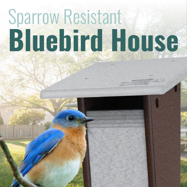 Recycled Plastic Sparrow Resistant Bluebird House