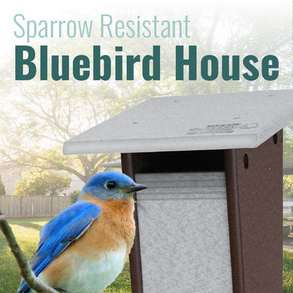 Recycled Plastic Sparrow Resistant Bluebird House