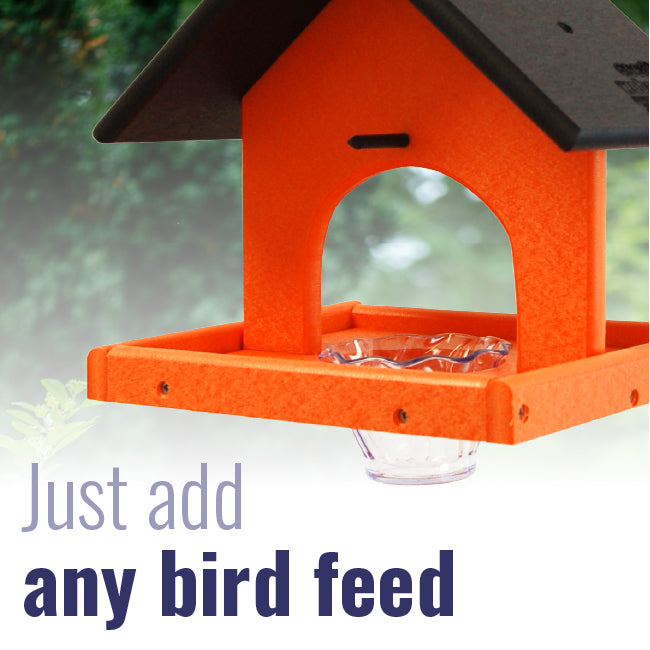 Recycled Plastic Single Oriole Feeder, Black/Orange