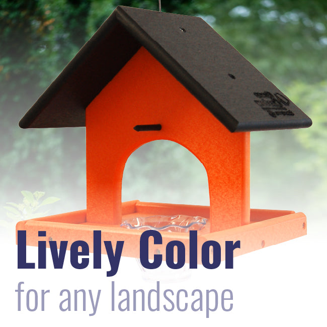 Recycled Plastic Single Oriole Feeder, Black/Orange
