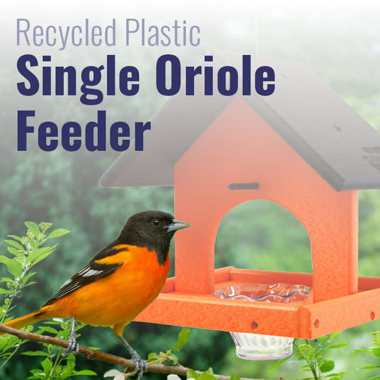 Recycled Plastic Single Oriole Feeder - BIRDLOVER