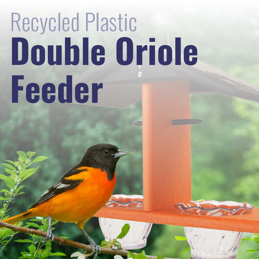 Recycled Plastic Double Oriole Feeder - BIRDLOVER