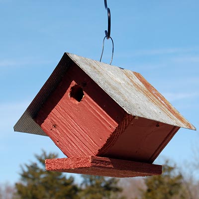 Wellsville Wren House - BIRDLOVER