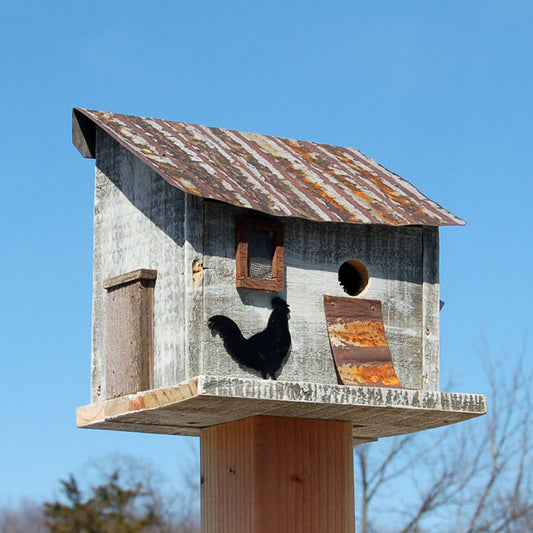 Cumberland Chicken Coop Bird House - BIRDLOVER
