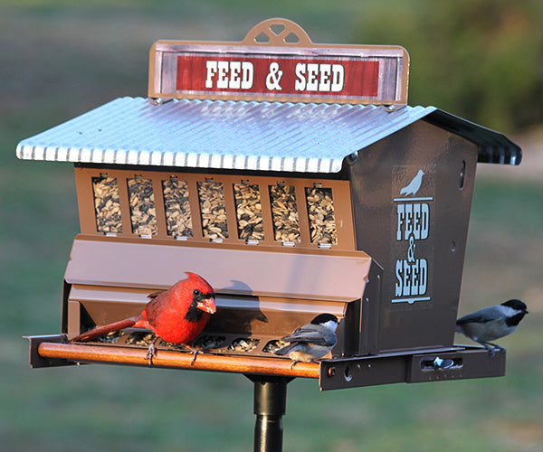 Heritage Farms Absolute Weight Sensitive Feed & Seed Bird Feeder
