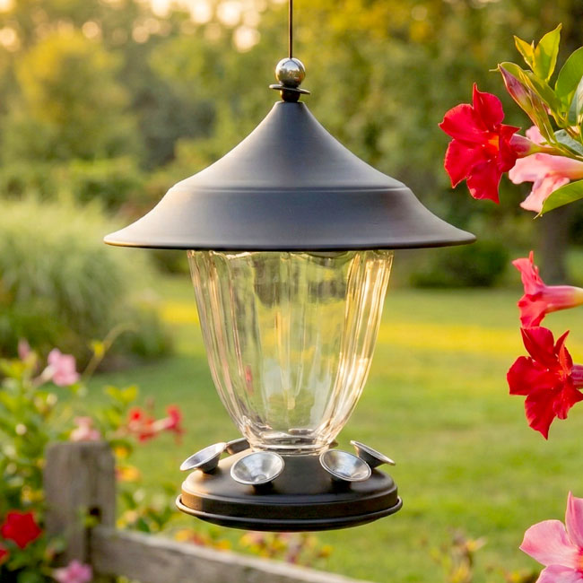 New Age Collection Hummingbird Feeder, 32 oz
