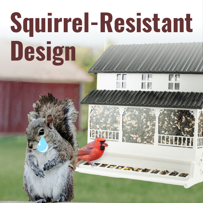 Absolute Squirrel Resistant Farmhouse Style Bird Feeder - BIRDLOVER