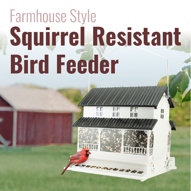 Absolute Squirrel Resistant Farmhouse Style Bird Feeder - BIRDLOVER