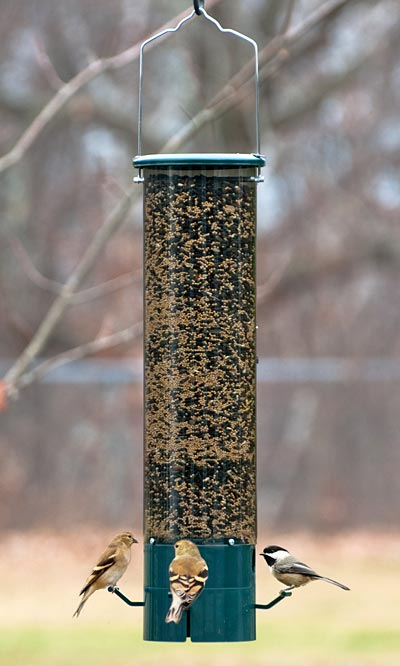 Magnet Squirrel Resistant Bird Feeder - BIRDLOVER