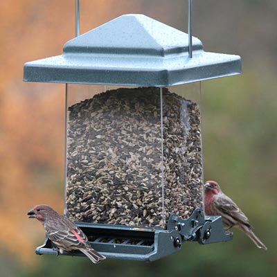Vista Squirrel Proof Bird Feeder