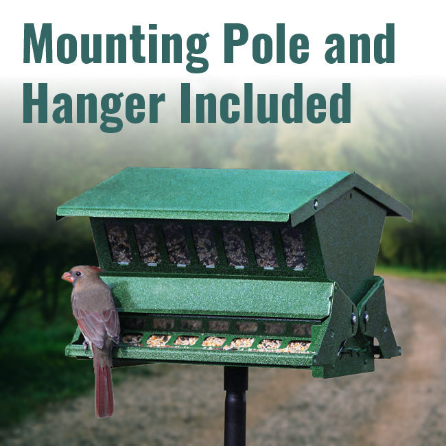 Absolute II Double Sided Bird Feeder with Pole & Hanger - BIRDLOVER