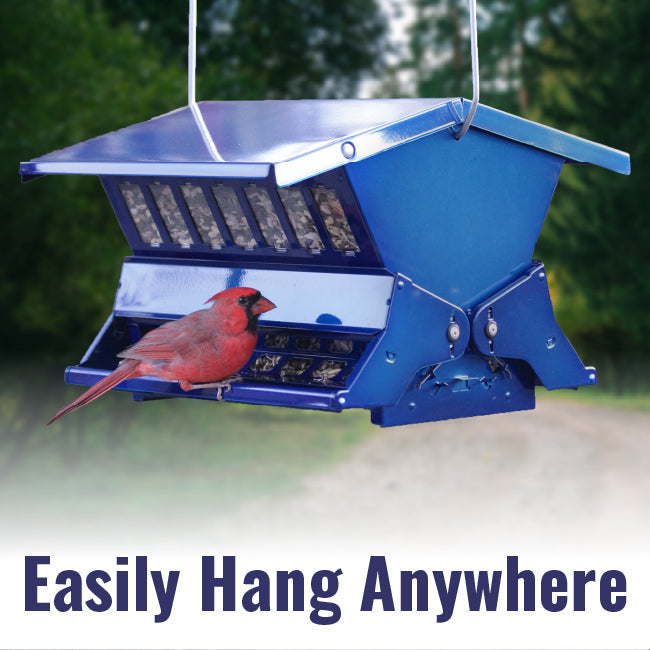 Absolute II Double Sided Squirrel Resistant Electric Blue Bird Feeder - BIRDLOVER