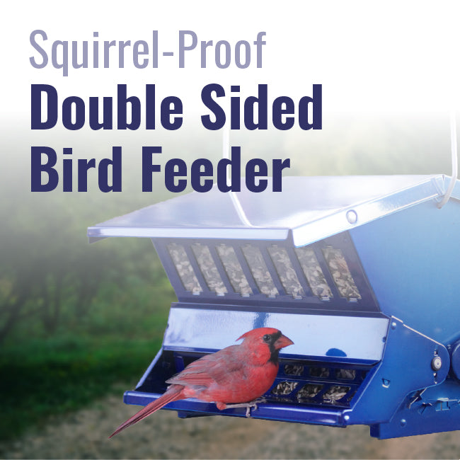 Absolute II Double Sided Squirrel Resistant Electric Blue Bird Feeder - BIRDLOVER