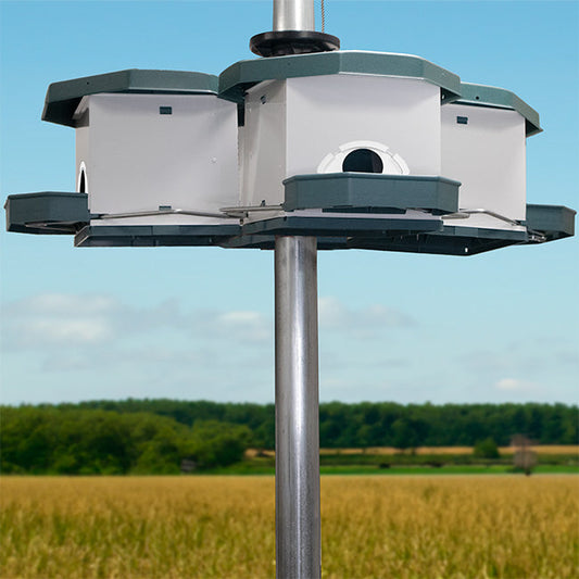 Heritage Farms Quad Pod Purple Martin House - BIRDLOVER