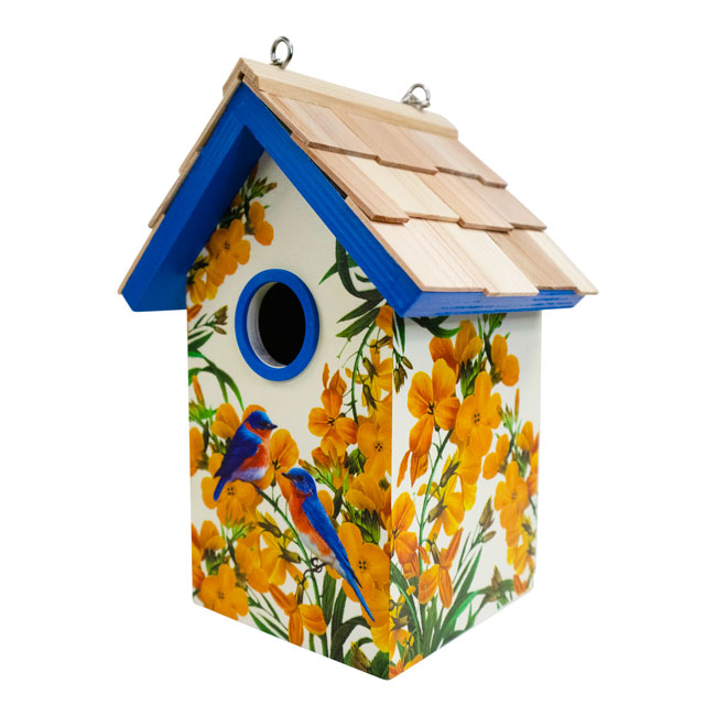 Cottage Bird House, Bluebirds and Camellia