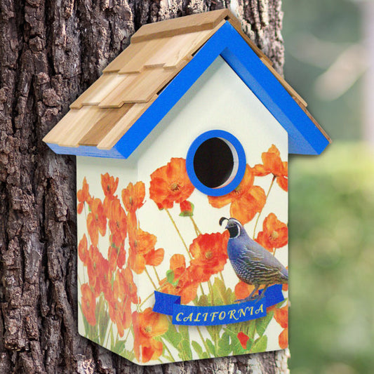 California Bird Cottage, Orange Blossom - BIRDLOVER