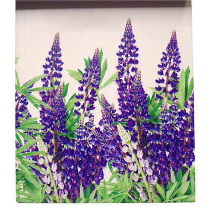 Bird Cottage for Texas, Mockingbird and Bluebonnet