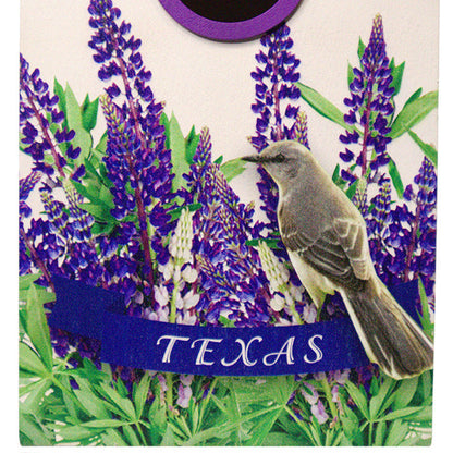 Bird Cottage for Texas, Mockingbird and Bluebonnet