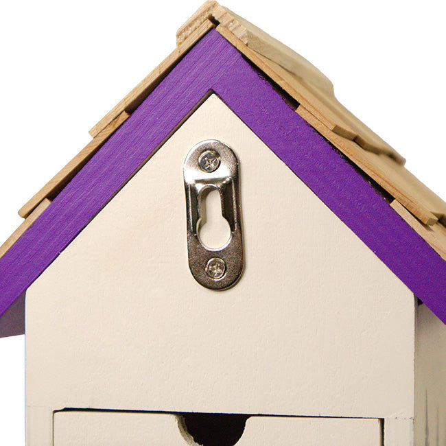 Bird Cottage for Texas, Mockingbird and Bluebonnet