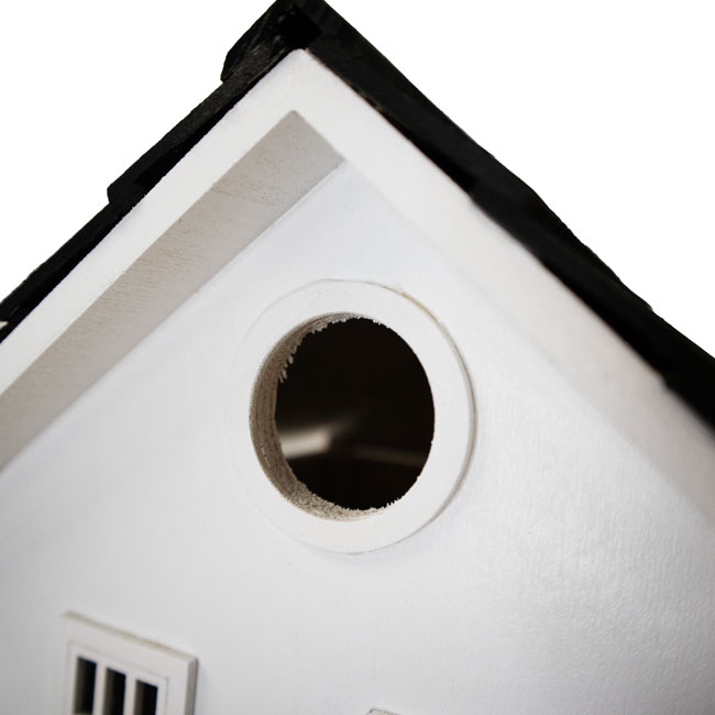 Montauk Point Lighthouse Bird House