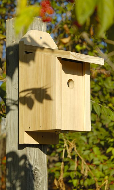 Joy Box Chickadee House