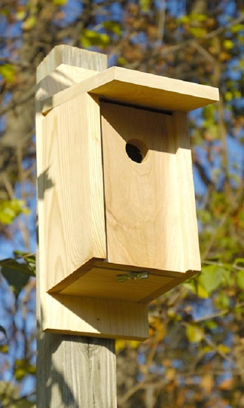 Joy Box Eastern Bluebird House - BIRDLOVER