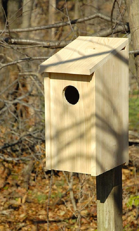 Joy Box Screech Owl and Kestrel House - BIRDLOVER