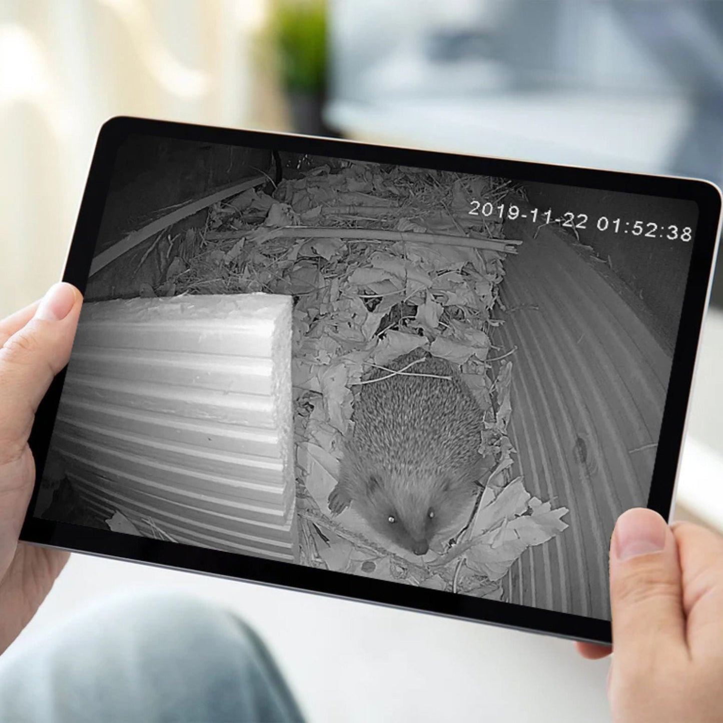 Person holding a tablet displaying an image of a hedgehog on a screen.